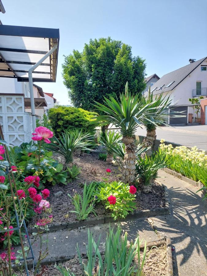 Urige Gemuetliche Ferienwohnung 64 M2 In Dielheim, Naehe Heidelberg Exterior photo